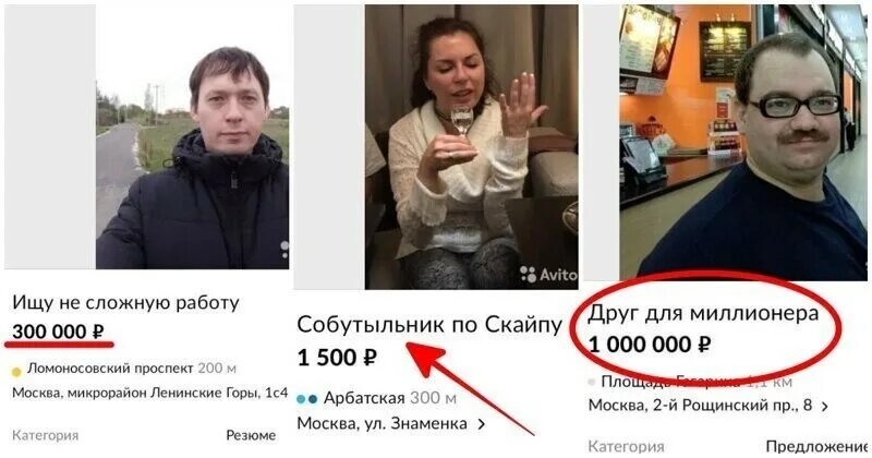 Где меня возьмут на работу. Фото на резюме прикол. фотография для резюме. резюме прикол. прикольные объявления ищу работу.