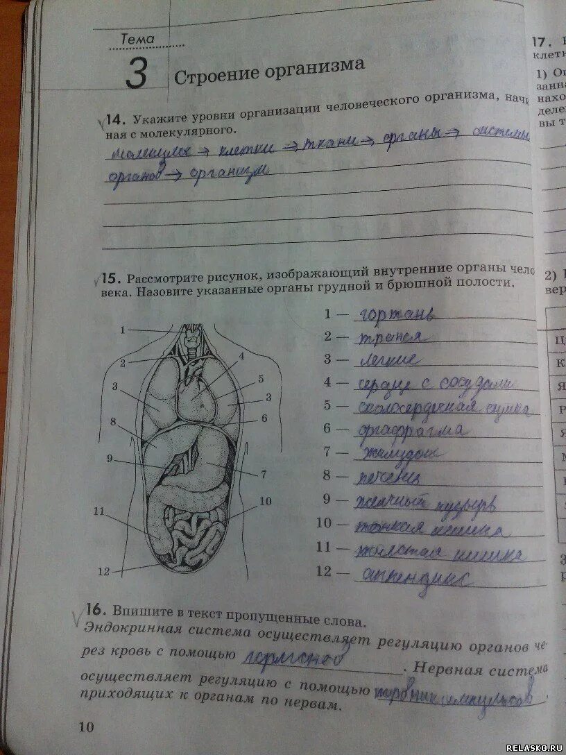 Гдз по биологии. Задания по биологии 8 класс. Биология 8 класс тетрадь. Домашнее задание по биологии 8 класс. Биология 8 рабочая тетрадь с дельфином