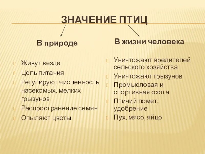 Значение птиц. Значение птиц в жизни человека. Значение птиц в природе и жизни человека. Значение птиц для человека. Значение птицы в питании