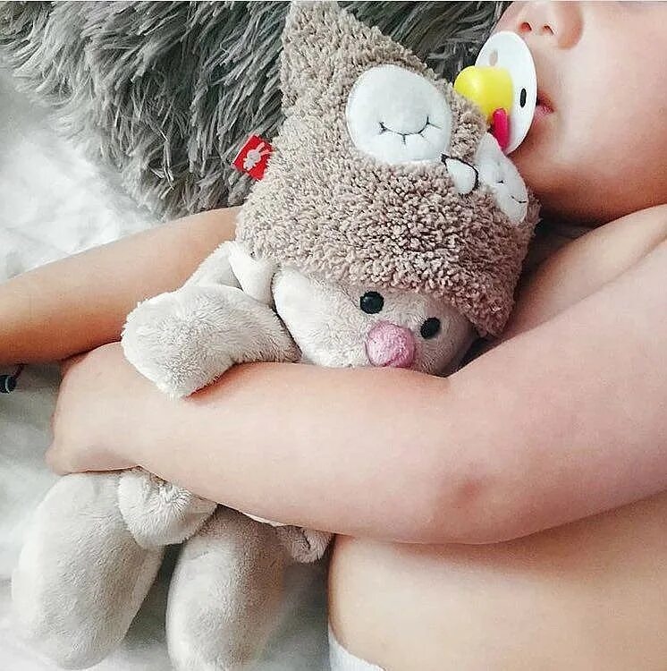 Сайт зайка ми и кот. Обнимает игрушку. зайка ми и кот басик. доброго утра с объятиями игрушек. котик зайка ми.