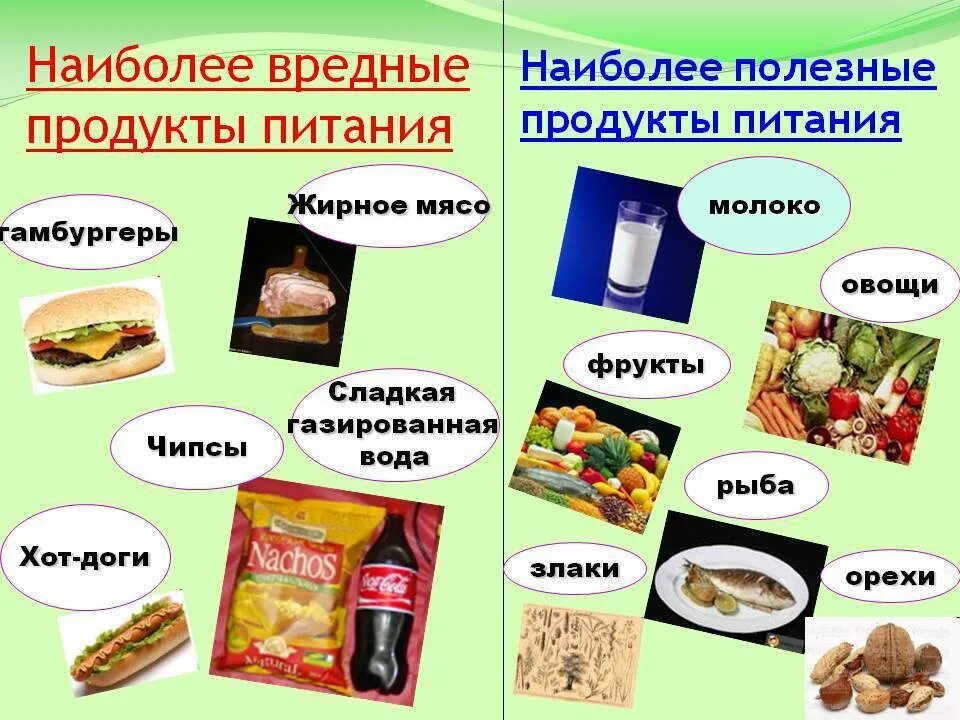 Полезные и вредные продукты. Вредная и полезная пища. Вредные продукты питания. Таблица полезной еды и вредной. Какое самое главное полезное