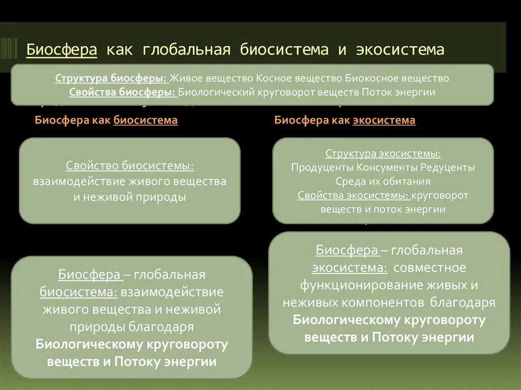 Биосфера Глобальная экосистема. Биосфера – Глобальная экосистема. Круговорот веществ.. Биосфера как экосистема. Биосфера - Глобальная экологическая система.