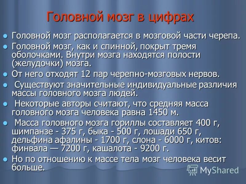 Отделы головного мозга продолговатый мозг. Отделы головного мозга биология 8 класс. Расставь названия отделов головного мозга. Головной мозг биология 8 класс. Рисунок головногомощга отделы.