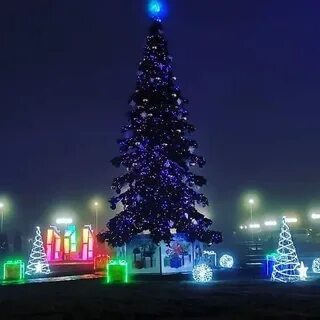 Елки череповец