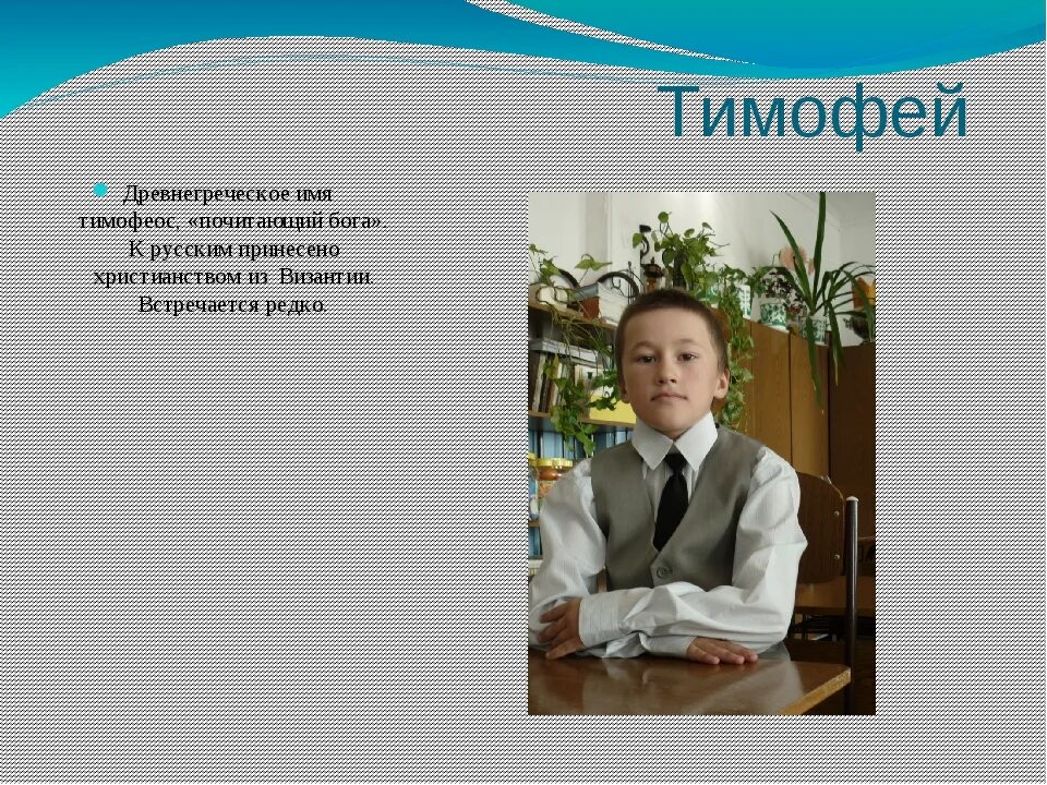 Значение и судьба тимофея