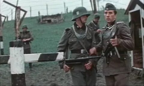 2002 четвертый год