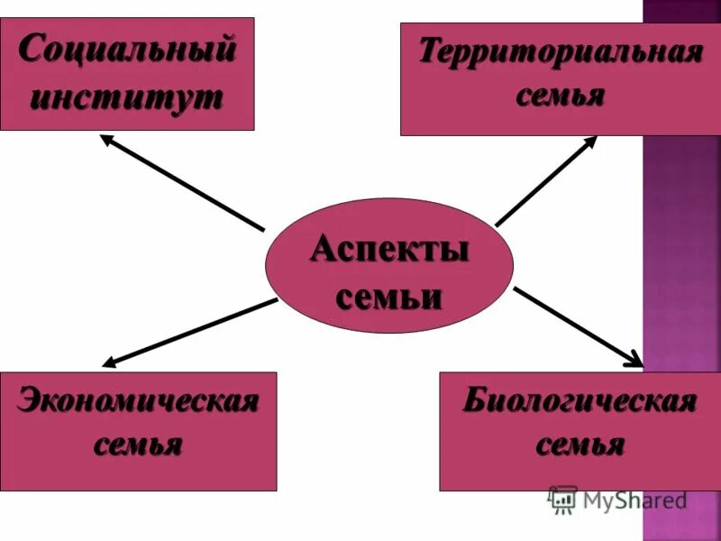 Перечислите институты семьи