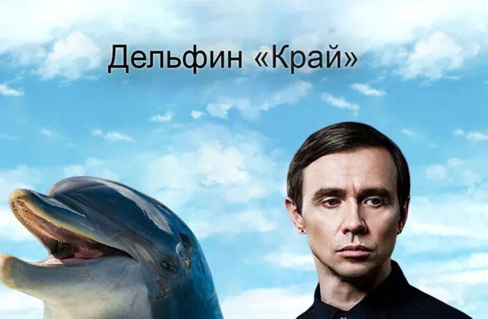 Дельфины волна тамань. Дельфин альбом 442. Дельфин "край". Дельфин край отзывы. Музыкальный альбом дельфин обложка.