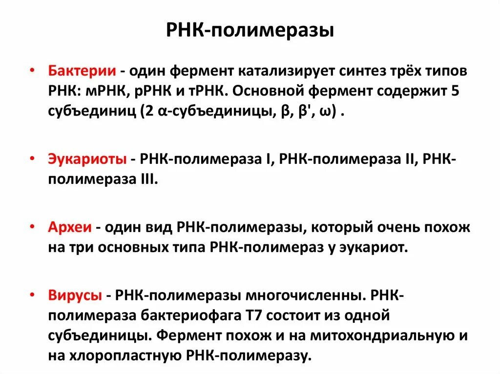 РНК полимераза e coli. Строение РНК полимеразы у прокариот. Функции субъединиц РНК-полимеразы. Сигма фактор РНК полимеразы.