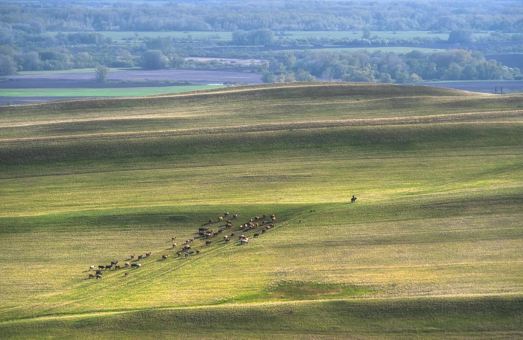 Оренбуржье фото. Саракташский район степь. Степь Оренбургского района. Оренбургский район природа. Природа степь Оренбург.