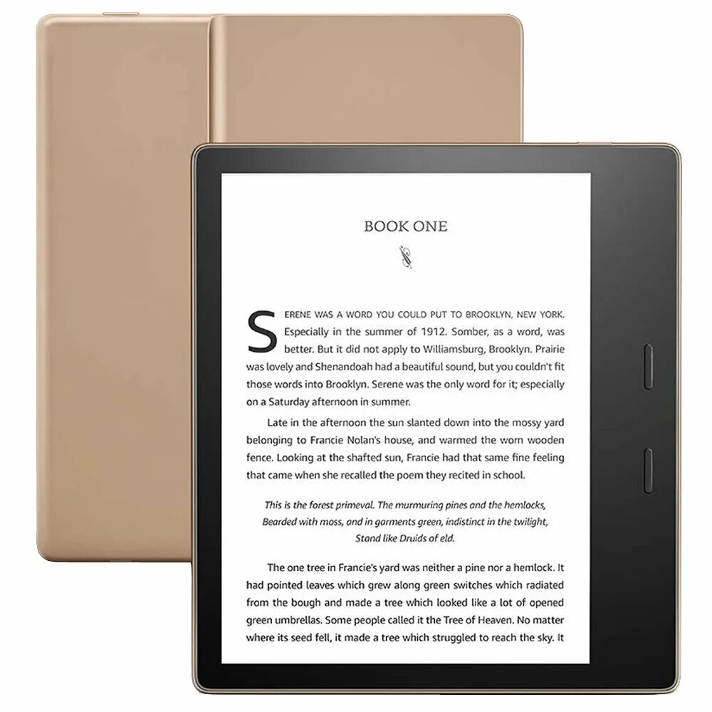 Электронная книга Amazon Kindle Oasis. Amazon Kindle Oasis 3g. Электронная книга Amazon Kindle 2019. Kindle Oasis 2022.