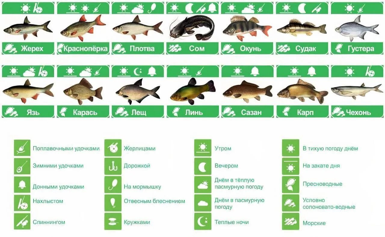 Рыбалка таблица клева. Оптимальное давление для рыбалки. Давление для рыбалки зимой. Самое хорошее давление для рыбалки. Когда можно рыбачить в 2024 году