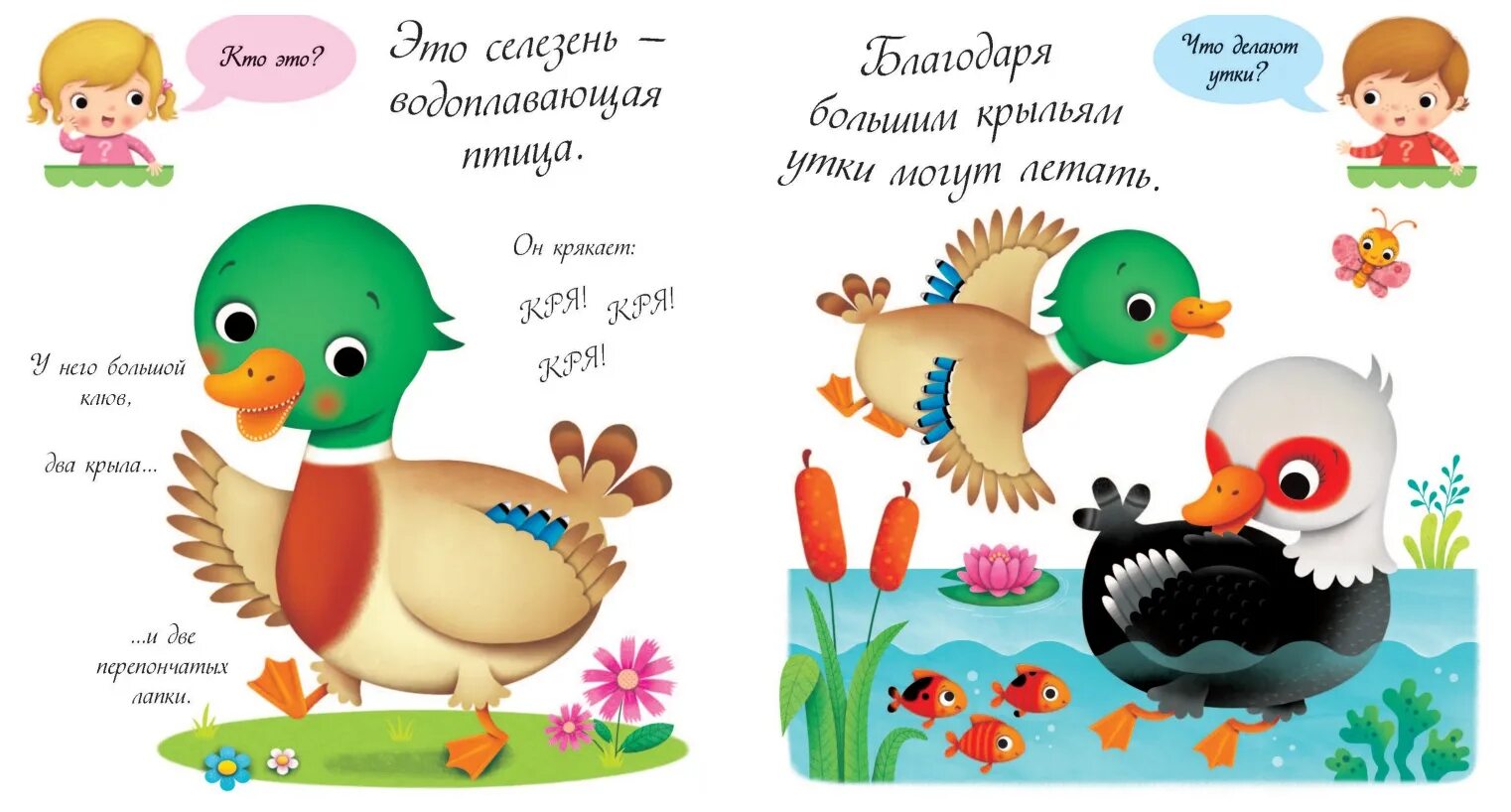 Детям про утку