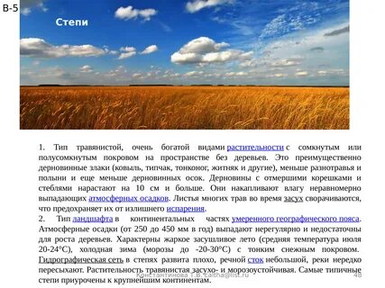 Средняя температура в степи зимой и летом