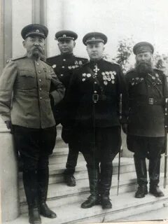 История горшковых