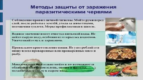 Правила поведения помогающие избежать заражения паразитическими простейшими
