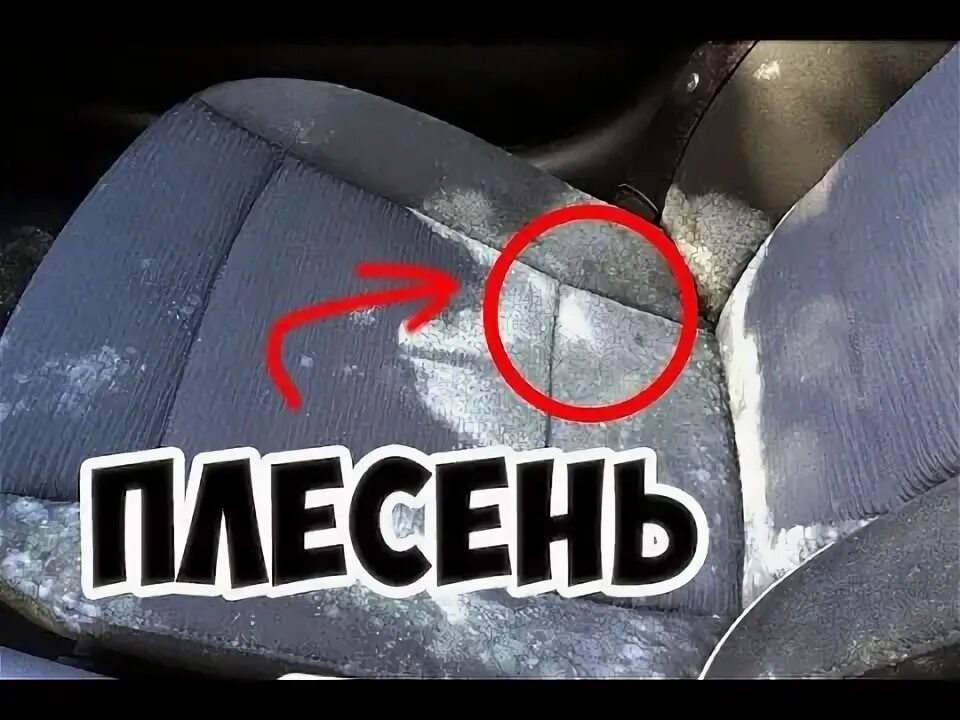 Как избавиться от запаха плесени в машине. Салон авто в плесени. плесень в авто. плесень в салоне автомобиля.