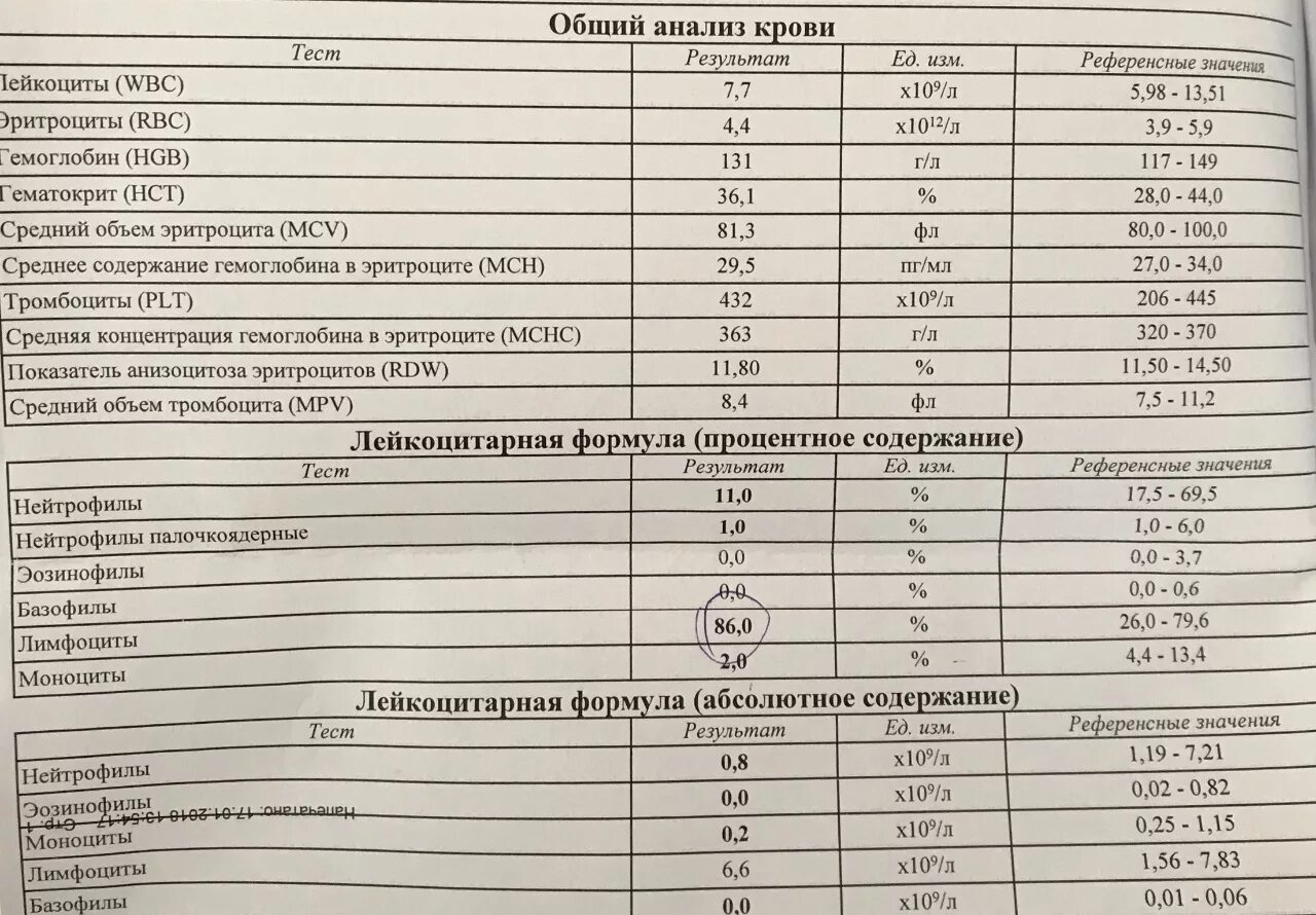 Пониженные лейкоциты повышенные моноциты у ребенка. Нормальные показатели лимфоцитов периферической крови. лимфоциты норма у детей 14. показатель крови нейтрофилы норма. моноциты норма у детей 4 года.
