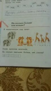 Жираф сколько звуков