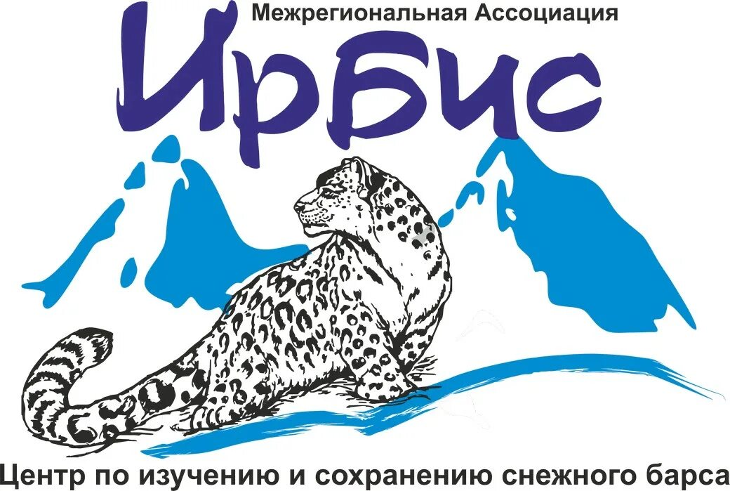 Плакат на тему сохранение снежного барса