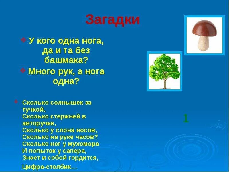 Загадка много рук а нога одна. Иллюстрация к загадке много рук а нога одна. Загадки рук много а ног. Марийские загадки.