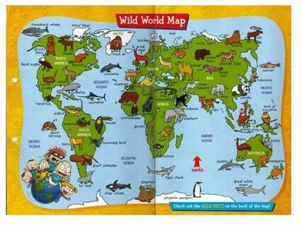 Find the world s