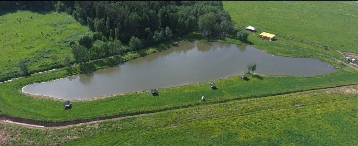 Пруд в голыгино чеховский. Серебряная чаша платная рыбалка. Угорское озеро калуга рыбалка. Рыбалка по киевскому шоссе. Красивые места для рыбалки.