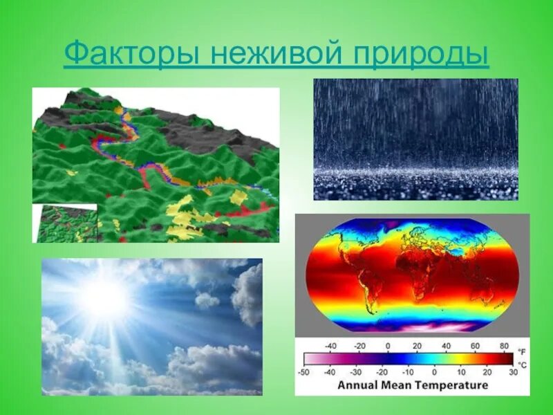 Факторы неживой природы 5 класс биология