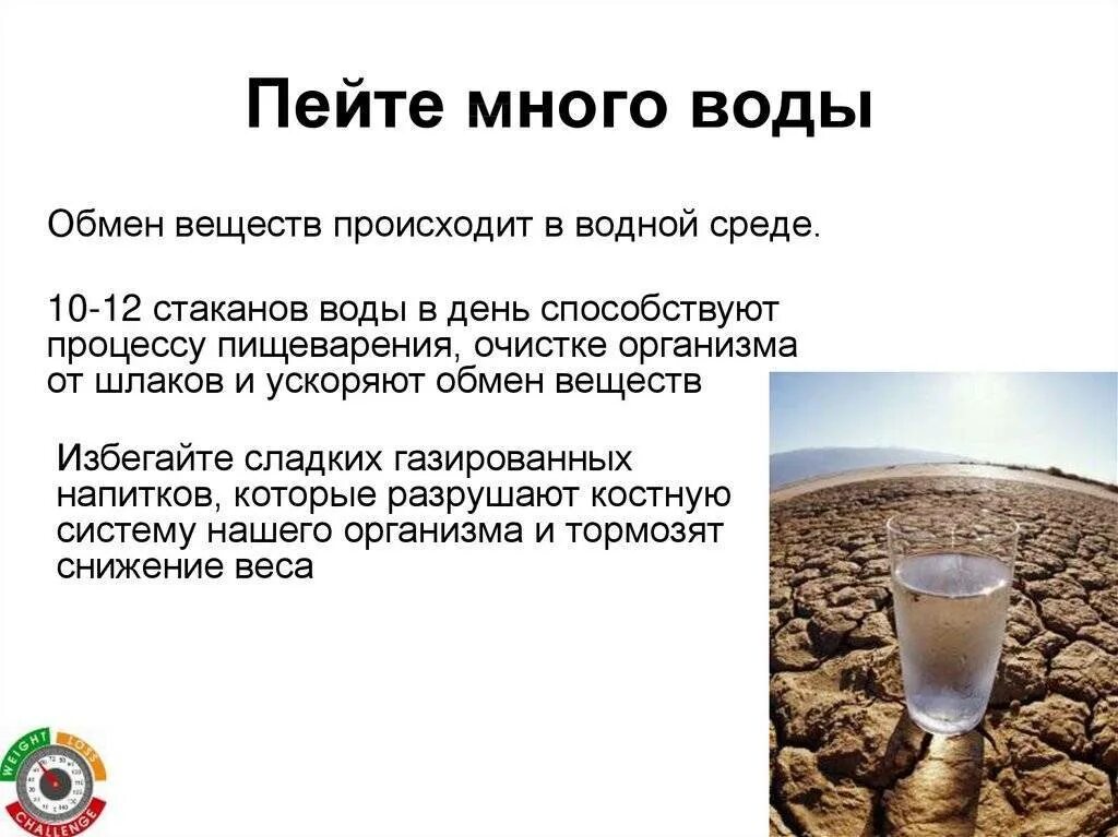 Стал больше пить воды