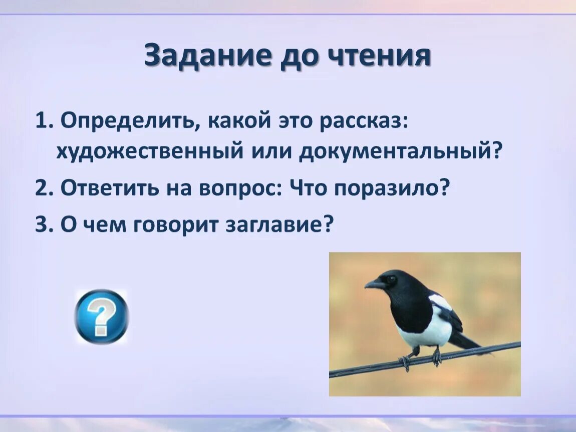 Какое чувство вызвала у тебя сорока выскочка. Выскочка рассказ. Словарная работа выскочка пришвин. Выскочка определение слова. План по рассказу выскочка.