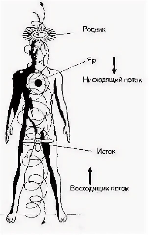 Центральные энергетические каналы восходящий и нисходящий. Восходящий поток и нисходящий поток. Восходящий и нисходящий потоки энергии в теле человека. Человек в потоке энергии. Потоки через тело