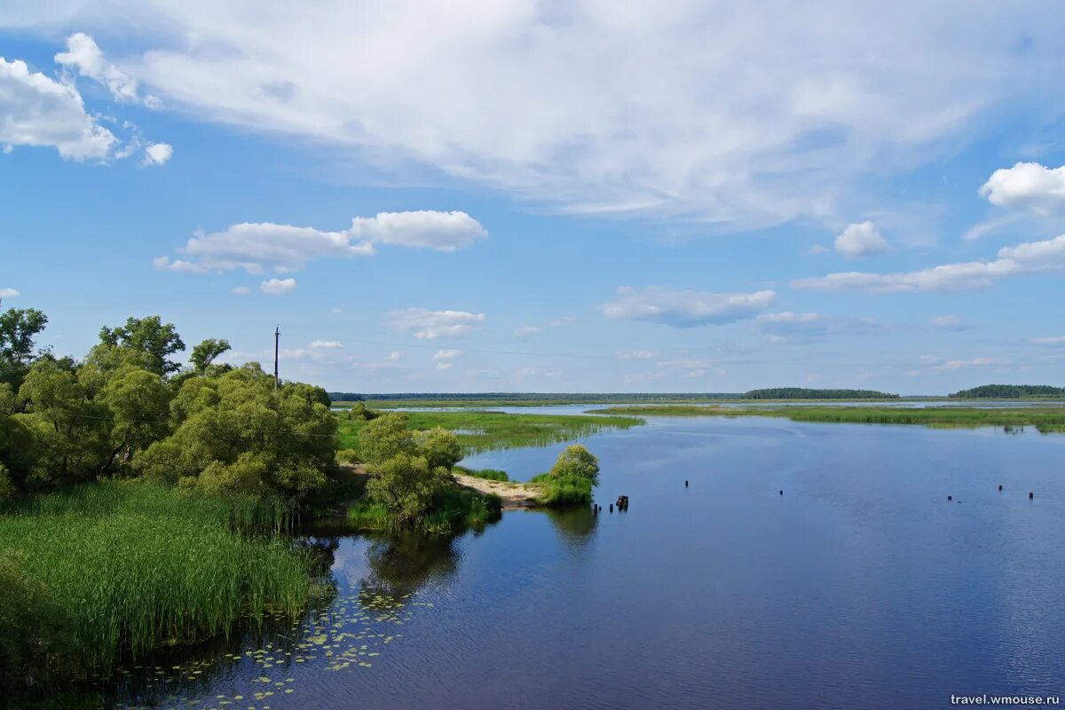 Мещера клепики