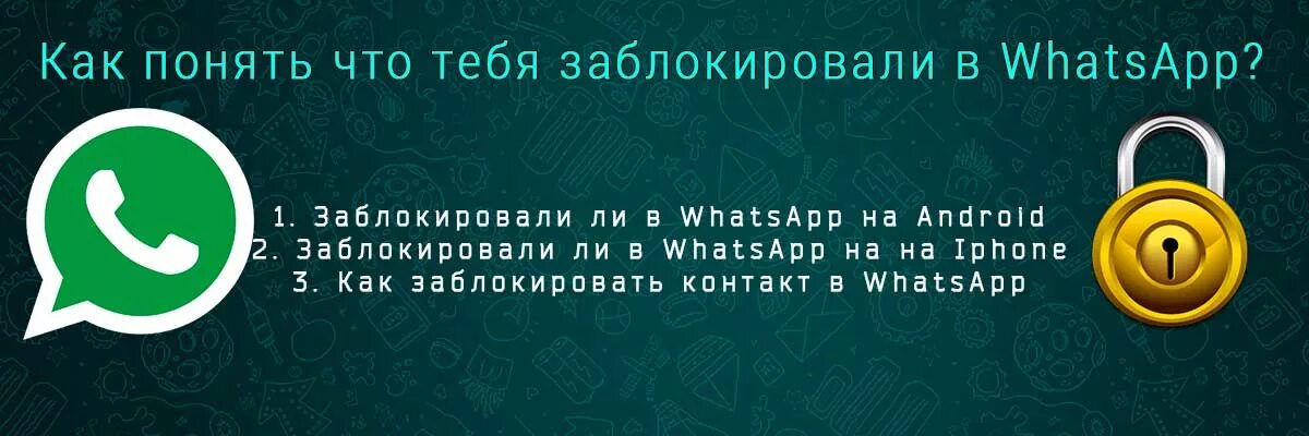 Как узнать что ты заблокирован в ватсапе. Как понять что тебя заблокировали. как понять в вотсапе что ты заблокирован. если тебя заблокировали в ватсапе. как понять что тебя заблокировали в ватсапе.