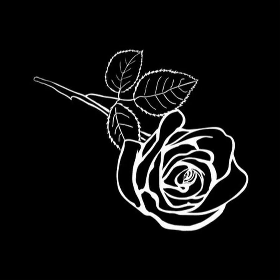 Контуры на черном фоне. Цветы на черном фоне контур. Контур розы на черном фоне. Силуэт розы на черном фоне. Белый контур розы на черном фоне.