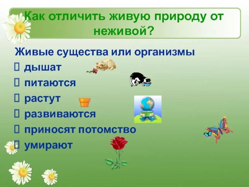 Как отличить без. Отличия живой и неживой природы 2 класс окружающий мир. Живые и неживые существа в природе. Тема Живая и неживая природа. Признаки живой природы.