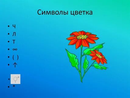 Какой символ в формуле цветка позволяет судить