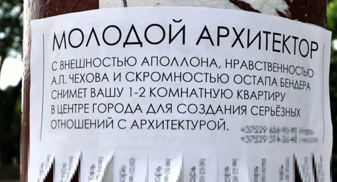 Креативные объявления. Креативные объявления о продаже. Смешные объявления о сдаче квартиры. Смешные объявления о продаже квартиры. Объявление об аренде квартиры