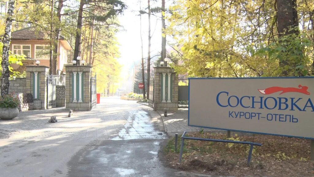 Сосновка новый год. Сосновское соревнования по лыжам. Сосновка новый год. Санаторий сосновка бердск. Мбоу кульшариповская сош елка новогодняя.