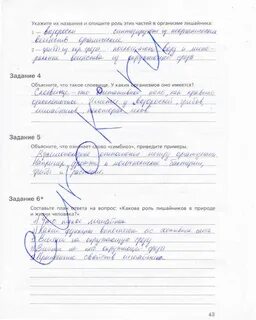 Биология 5 класс рабочая тетрадь стр 29