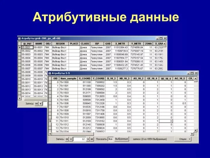 Идентифицирующий атрибут в базе данных. Атрибутивные данные. атрибутивные данные в гис. атрибуты таблицы.