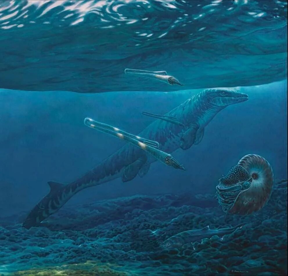 Mosasaurus paleoart. Подводные динозавры. Морские динозавры. Динозавры в море.