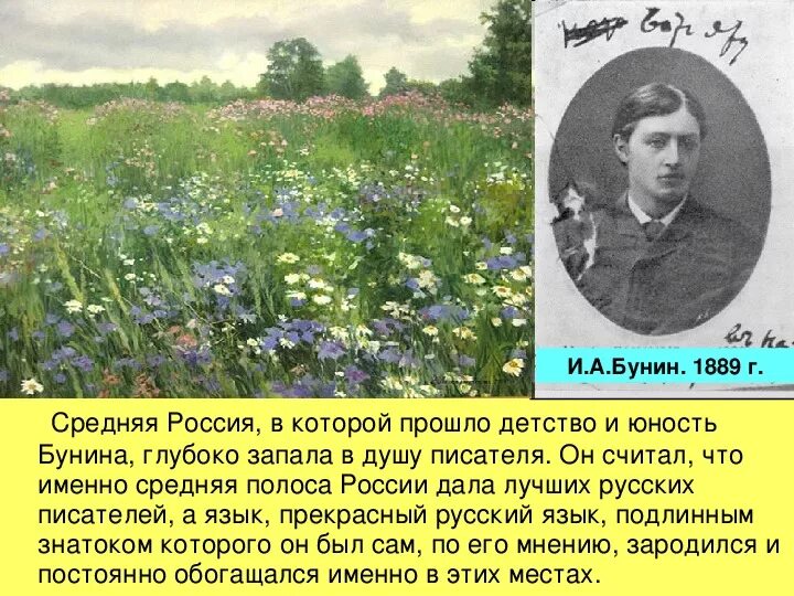 Слово бунин значение. Стихотворение Ивана Бунина Родина. Бунин о русских писателях. Бунин детство.