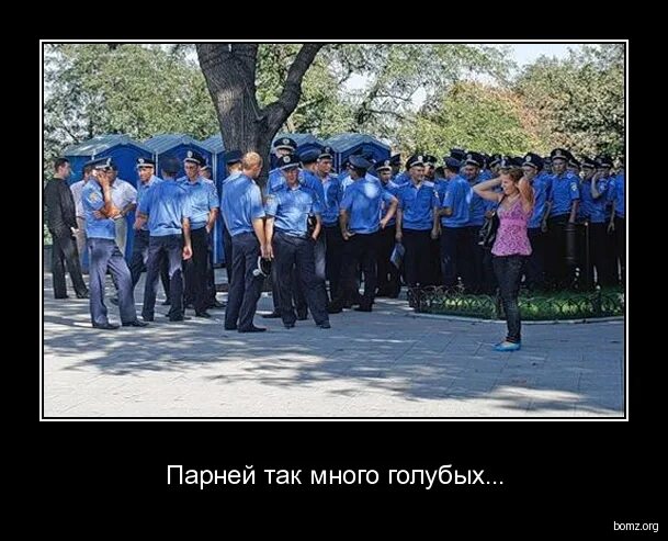 анекдот голубые ели. штирлиц шел по лесу и увидел голубые ели. смешные стишки про виталика. штирлиц шел по лесу и увидел голубые ели. а вы голову голубя ели анекдот.