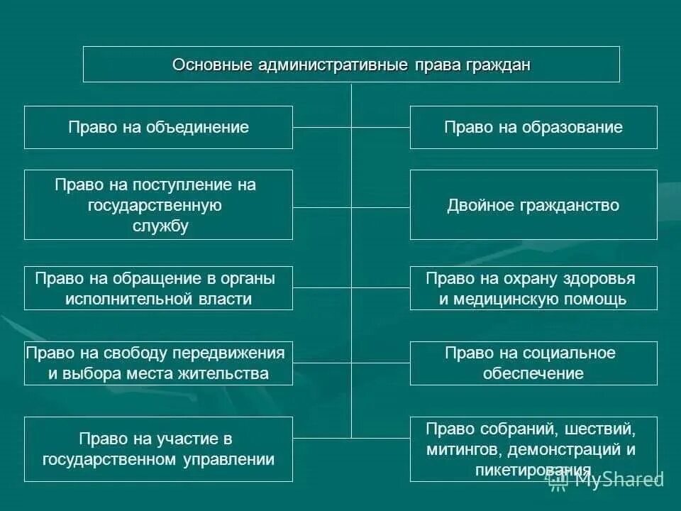 Правовые полномочия граждан. Административное право примеры. Администраиивноеправо пример.