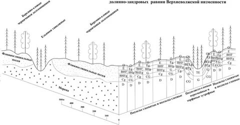 Закономерности ландшафта