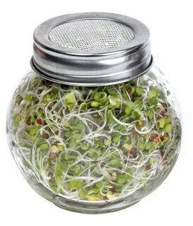 Банки для микрозелени