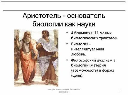 Вклад платона