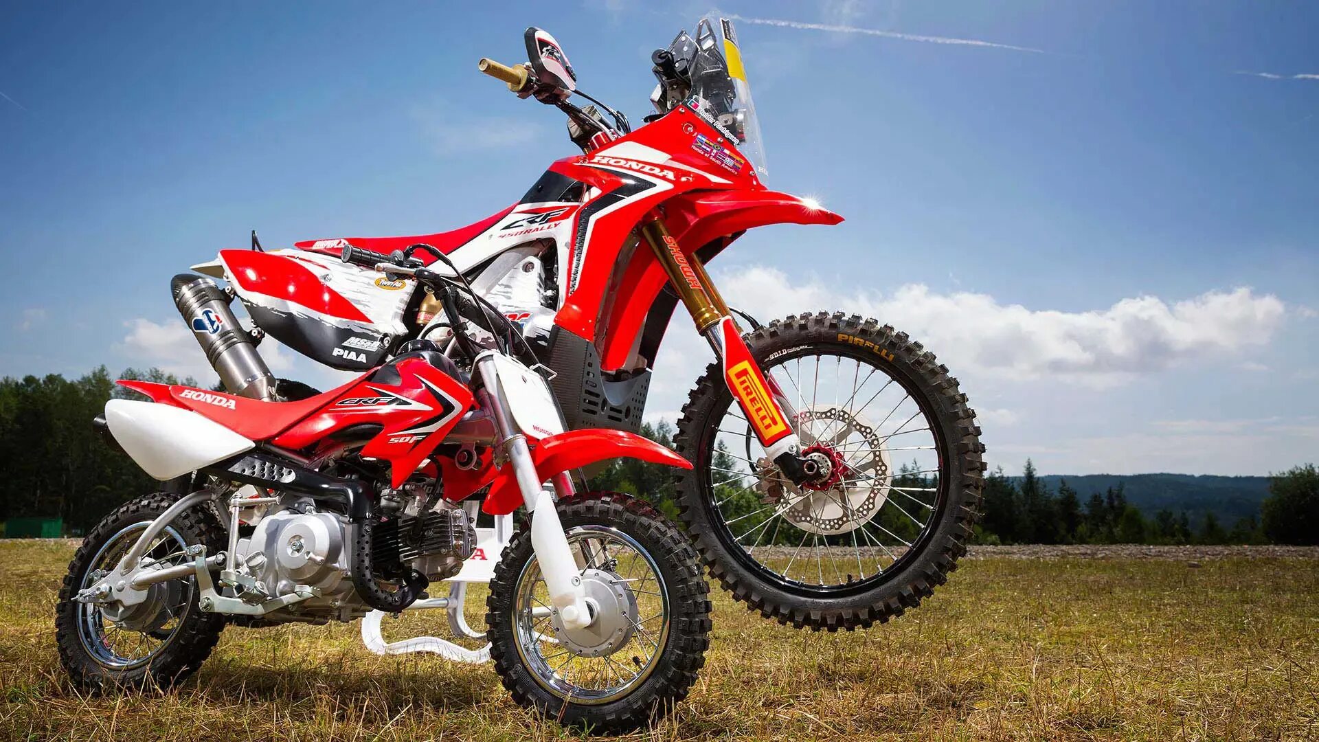 Какой пит. Honda crf 50. питбайк honda crf 50. honda crf 50-70. crf50f.