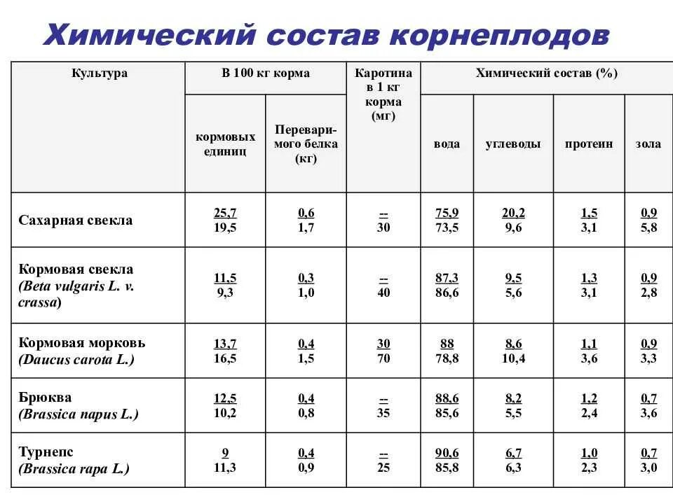 Какой химический картофеля. Химический состав корнеплодов таблица 2.2. Кормовая ценность кормовой свеклы. Питательная ценность свеклы кормовой. Химический состав сахарной свеклы стандартного качества.