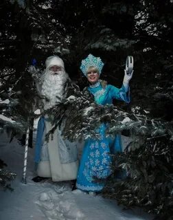 Папа снегурочки